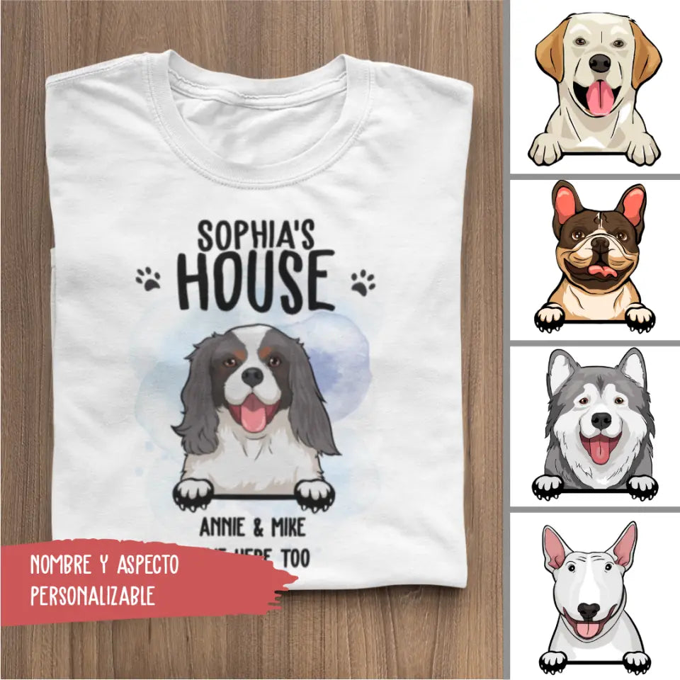 Dog house