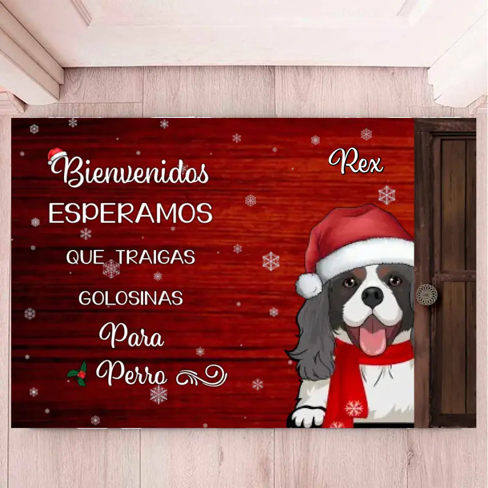 Bienvenido. ESPERAMOS que traigas golosinas para las mascotas.