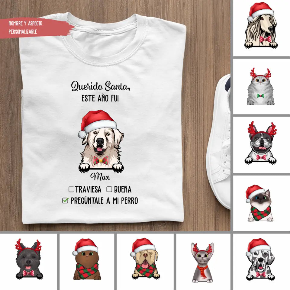 Querido Santa