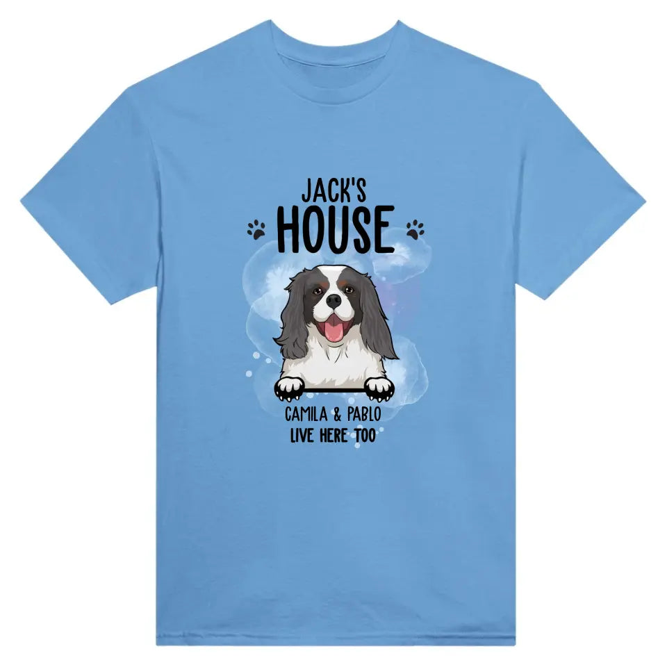 Dog house