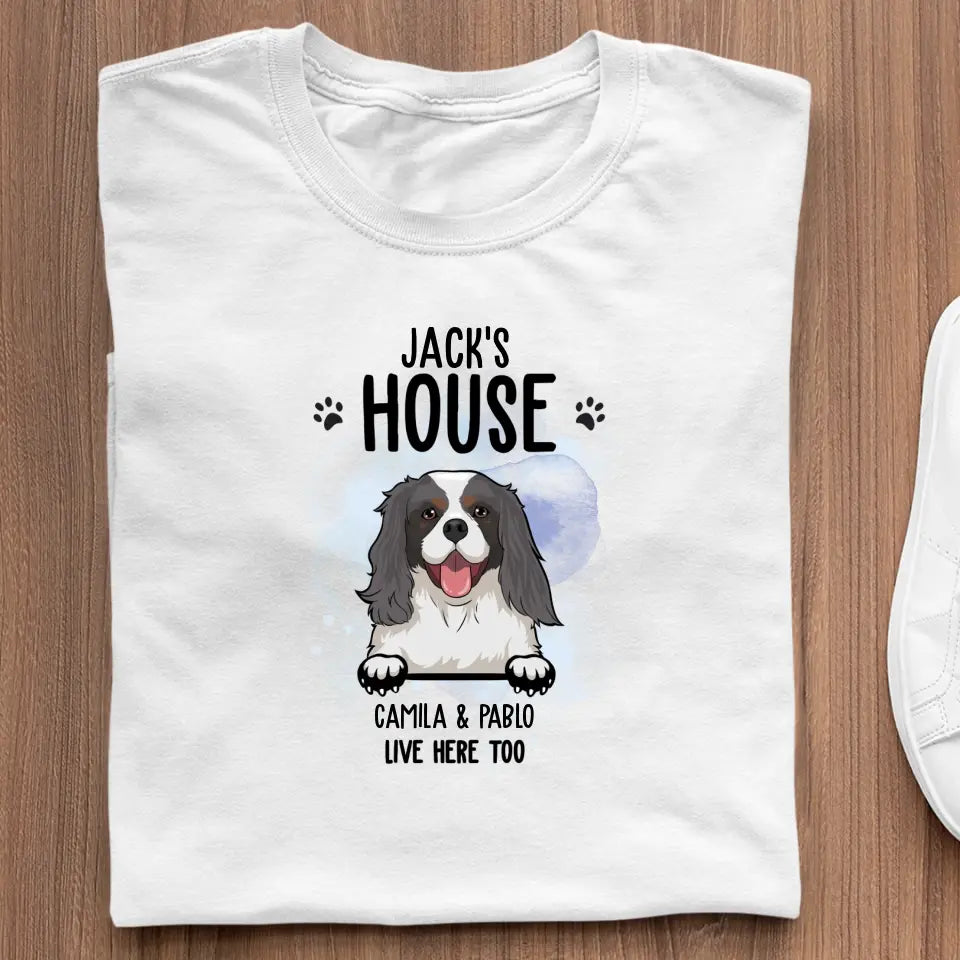 Dog house