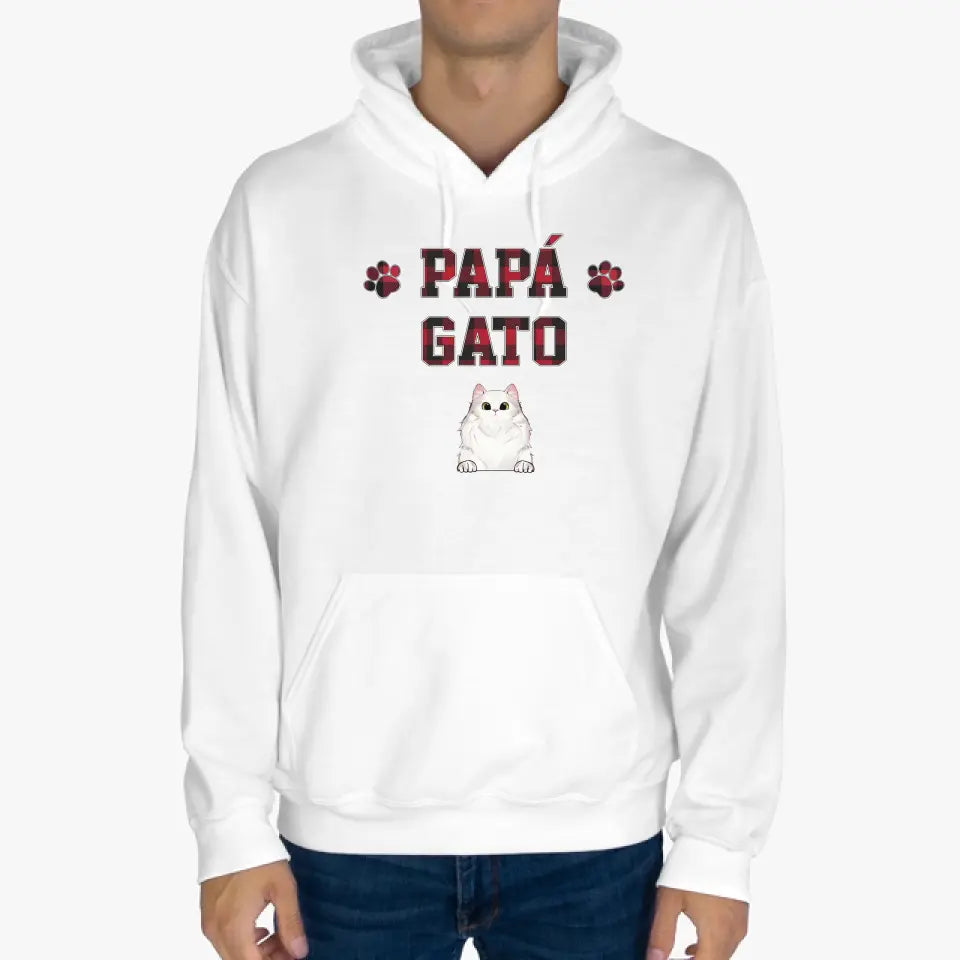 Papá gato