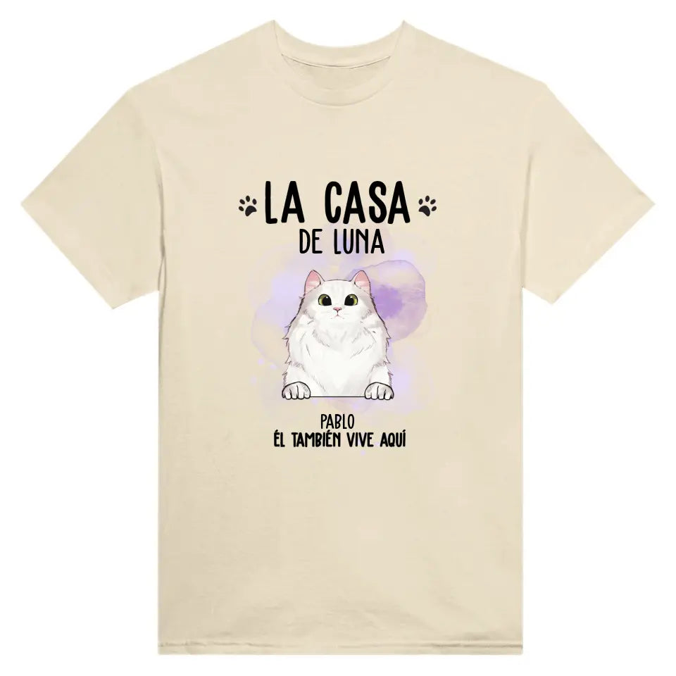 Casa de gato