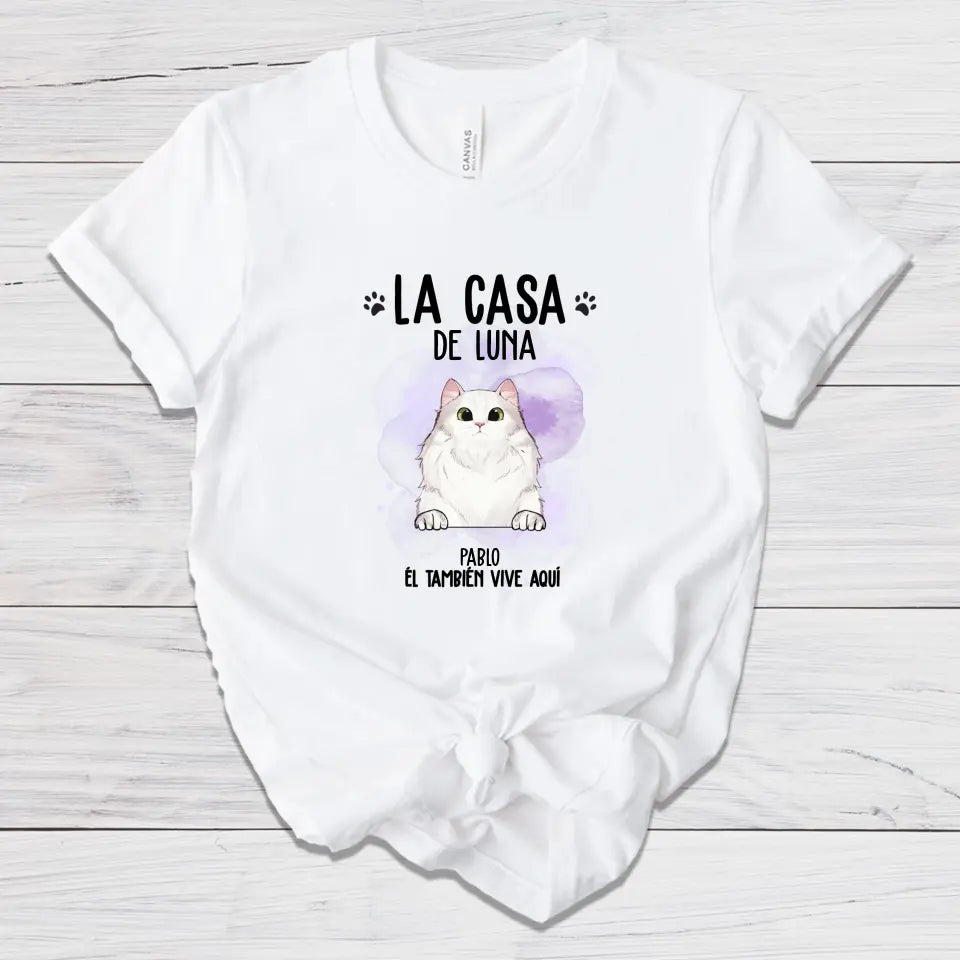 Casa de gato