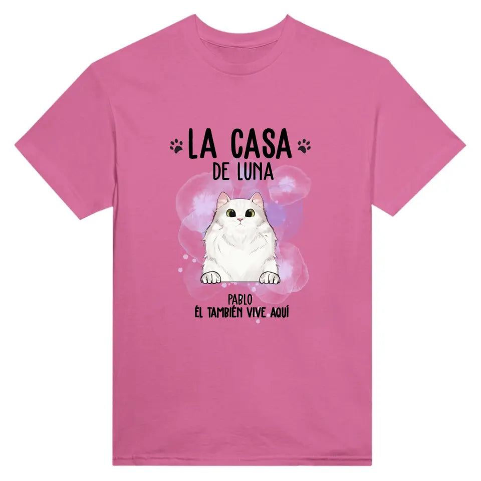 Casa de gato