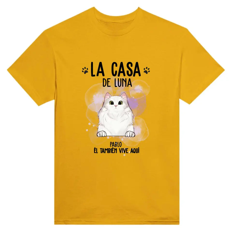 Casa de gato