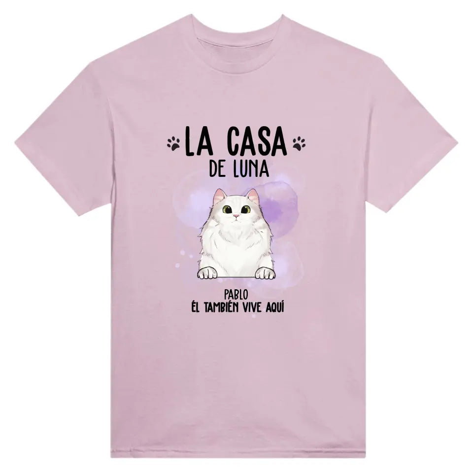 Casa de gato