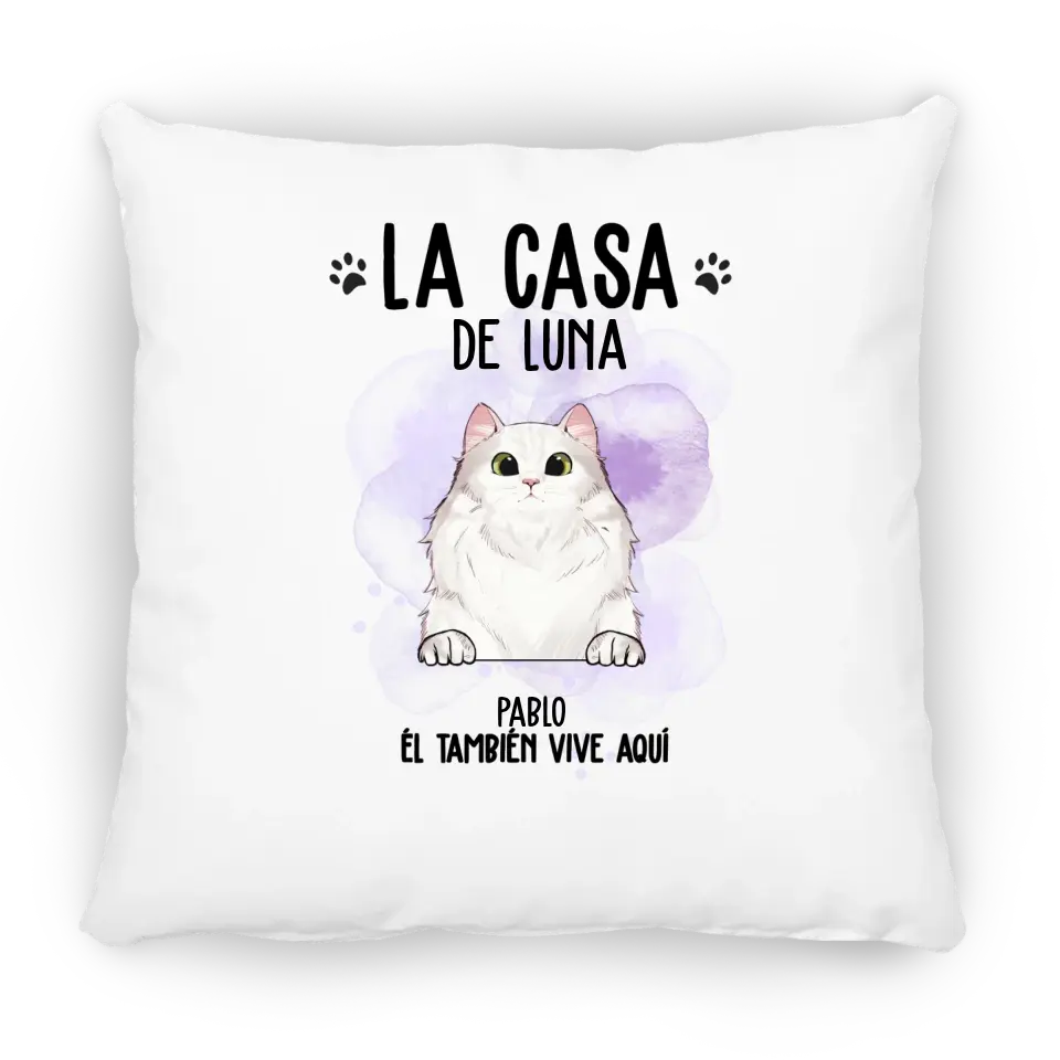 Casa de gato