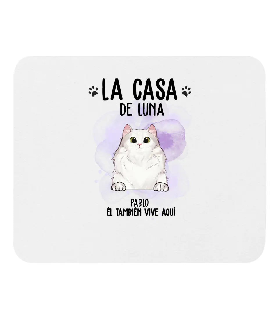 Casa de gato