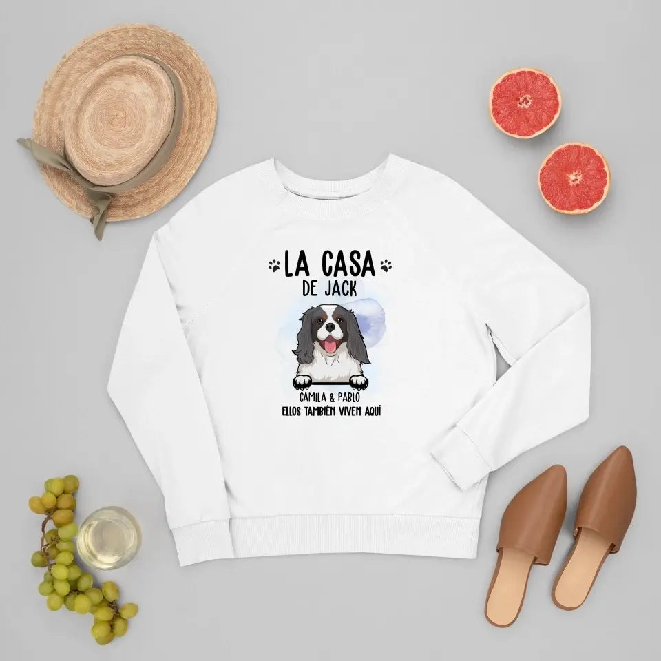 Casa de perro