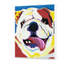 Bulldog (JD0445)