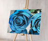 Blue Rose (CH0694)