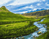 Alpine Meadow (GX30094)