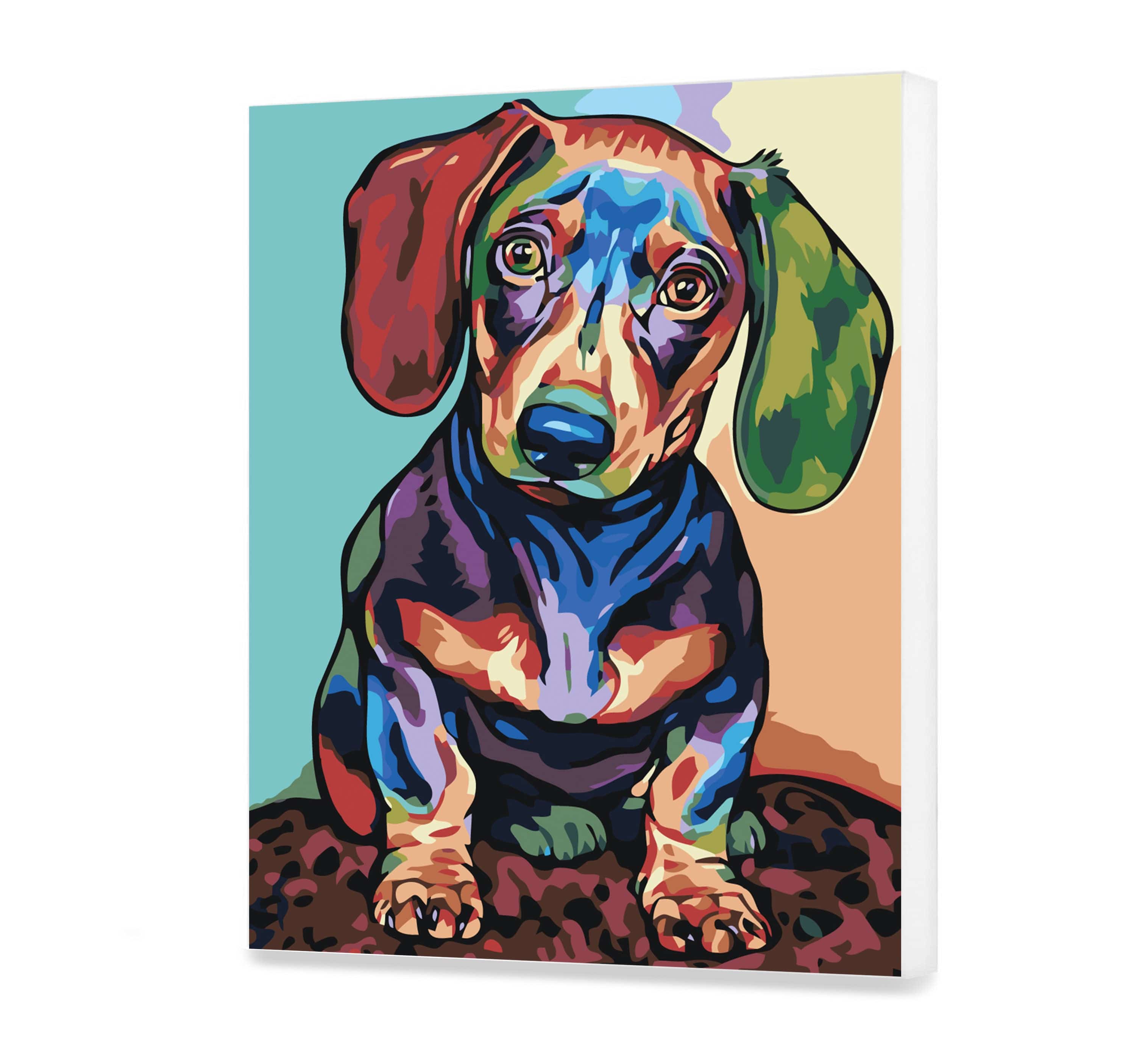 Dachshund (AD0325)