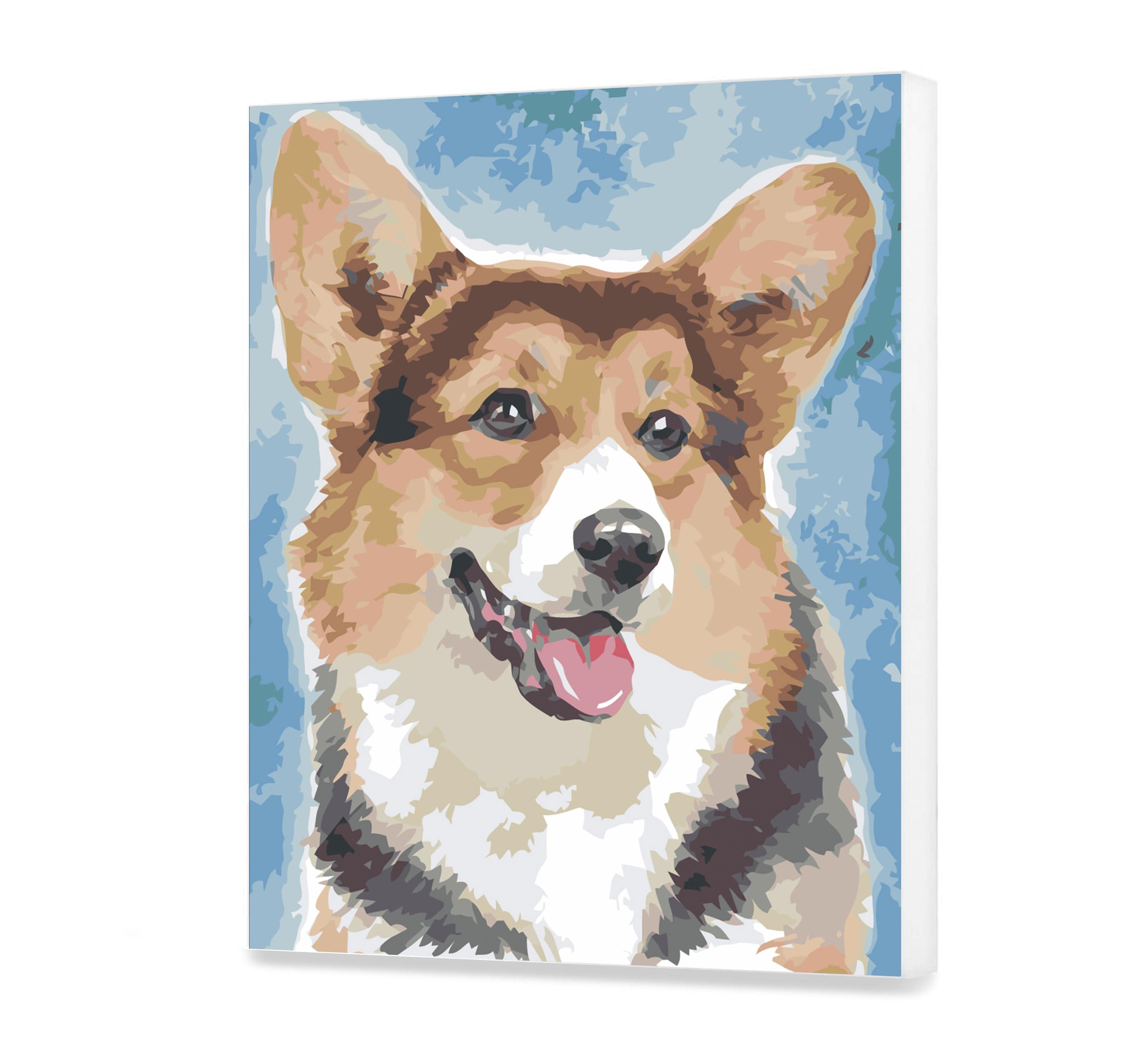 Hermoso Corgi (as0443)