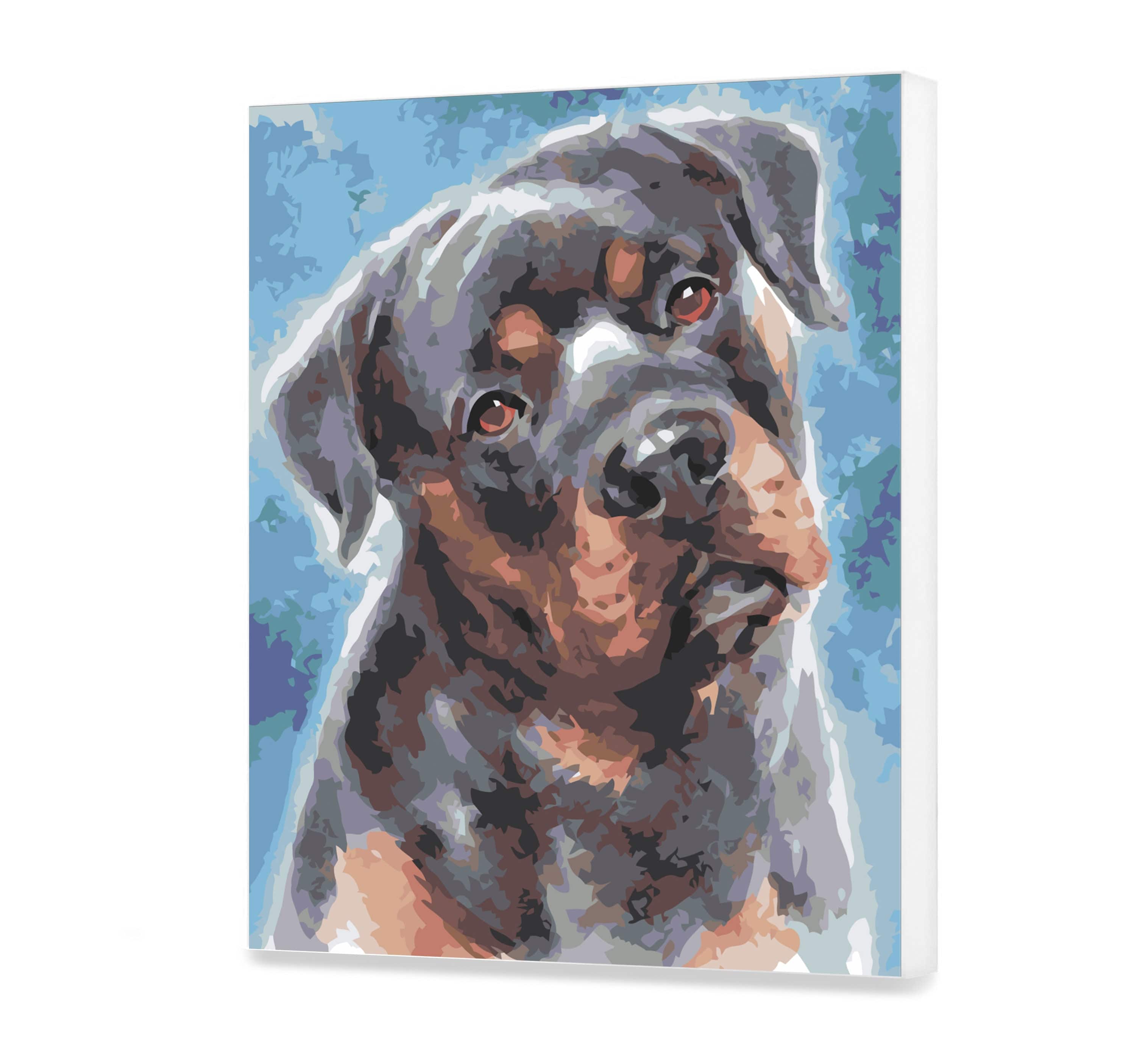 Dreamy Rottweiler (AS0437)