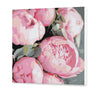 Peonies Pink (CH0825)