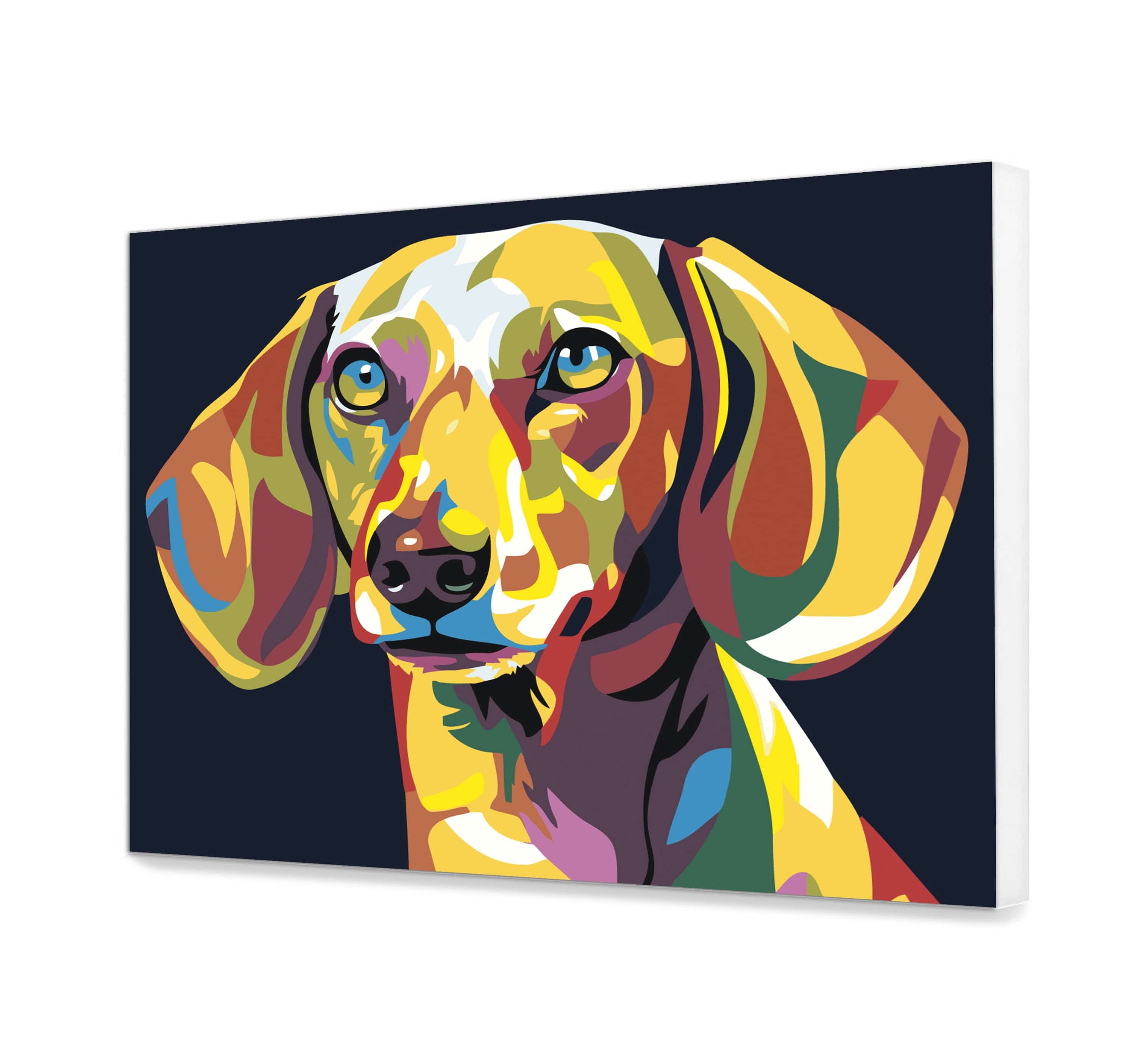 Dachshund multicolor (AD0326)