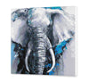 Elefante (CDC0180)