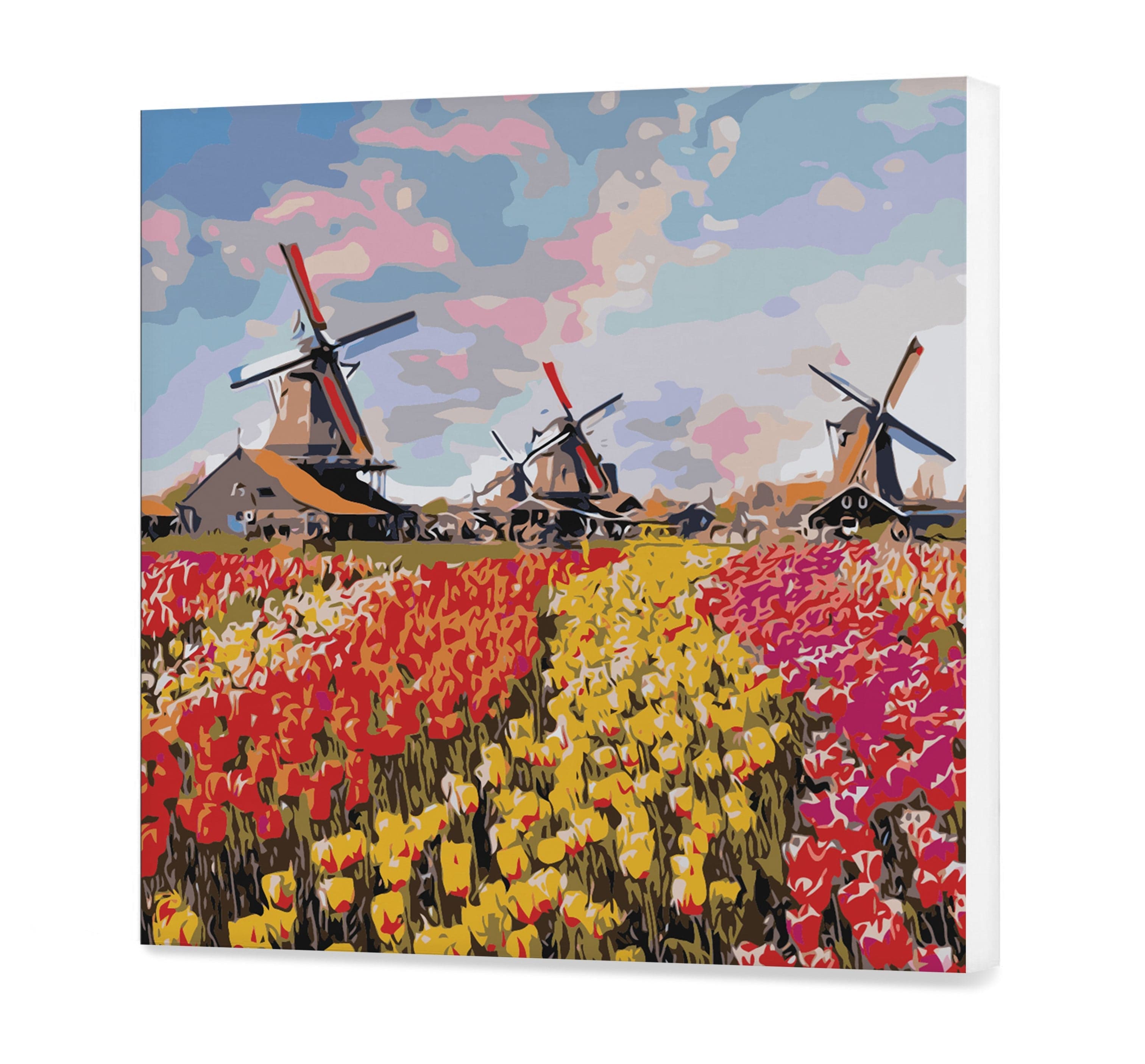 Campo Tulips (PC0613)