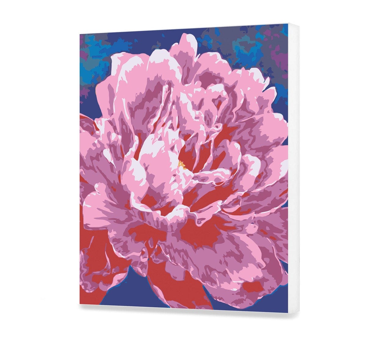 Peony (CH0168)