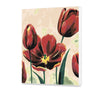 Tulipanes rojos (CH0237)