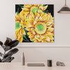 Bonitos girasoles (SC0819)