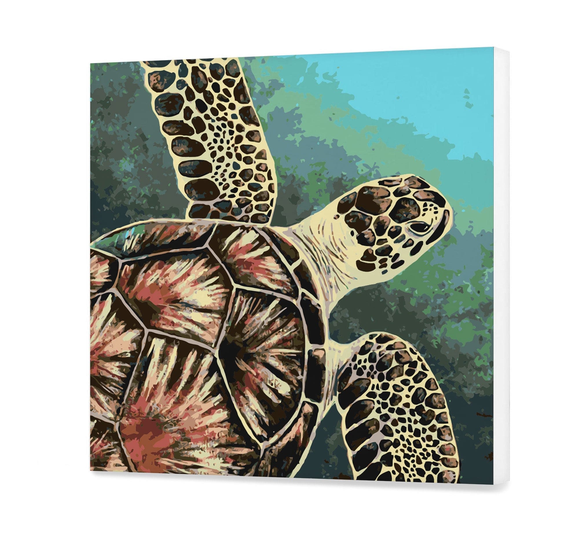 Tortuga (SC0837)