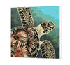 Tortuga (SC0837)