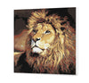 Noble Lion (SC0846)
