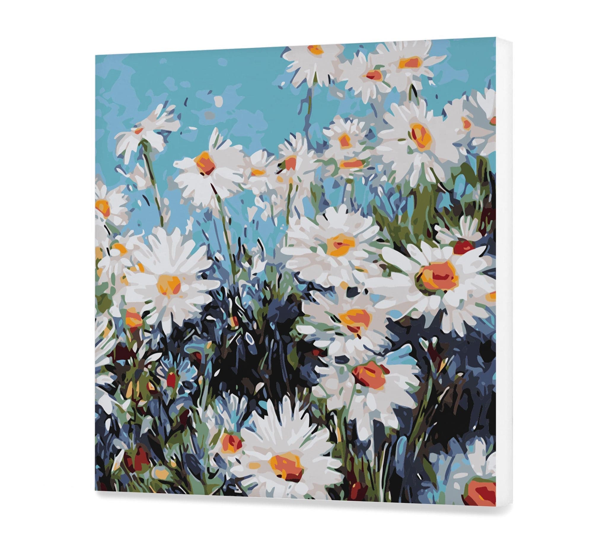 Flores de manzanilla (HP0416)