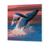 Ballena bailando (SC0844)