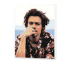 Harry Styles (HP0527)