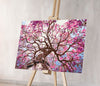 Un árbol sakura floreciente (SC0899)