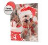 Perro de Navidad (SC0698)