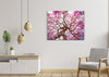 Un árbol sakura floreciente (SC0899)