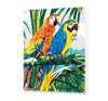 Loros tropicales (HP0134)