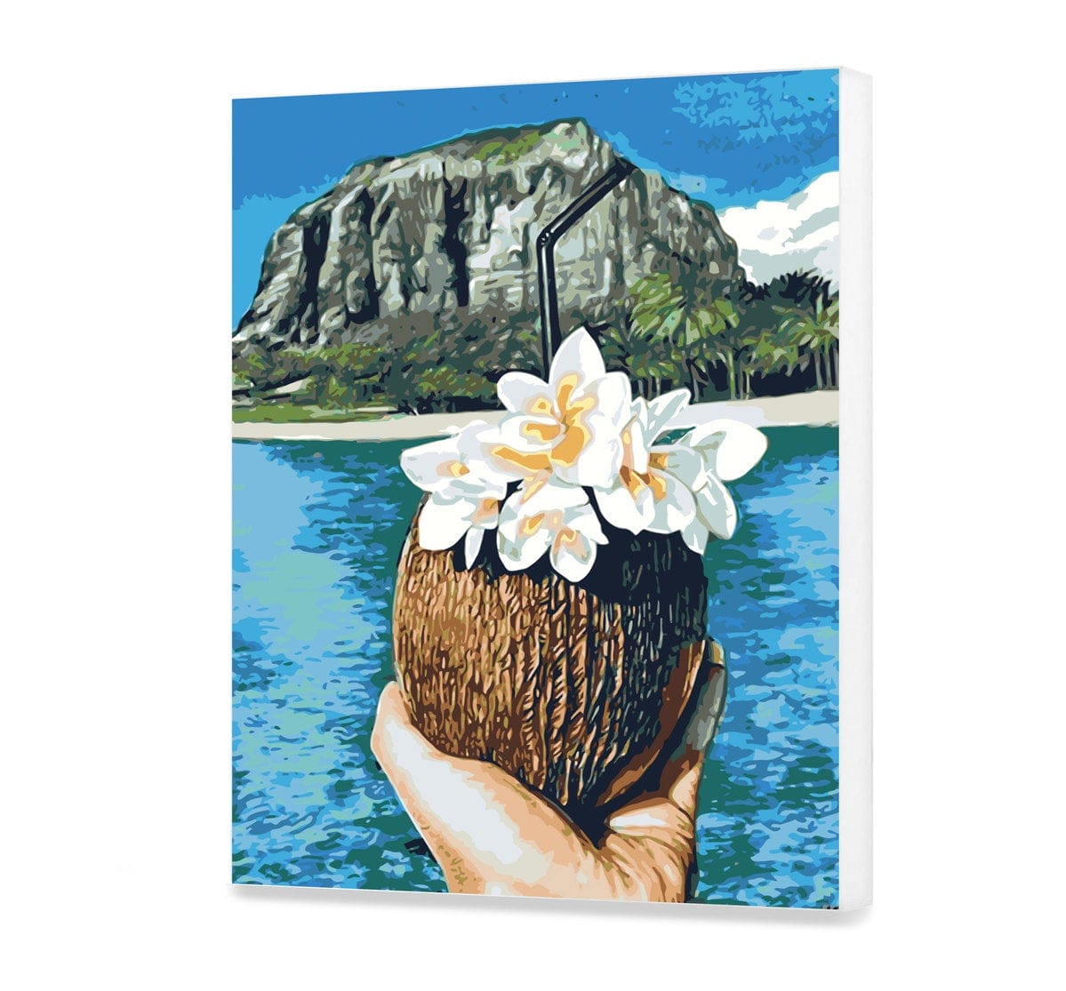 Coconut Plumeria (HP0188)