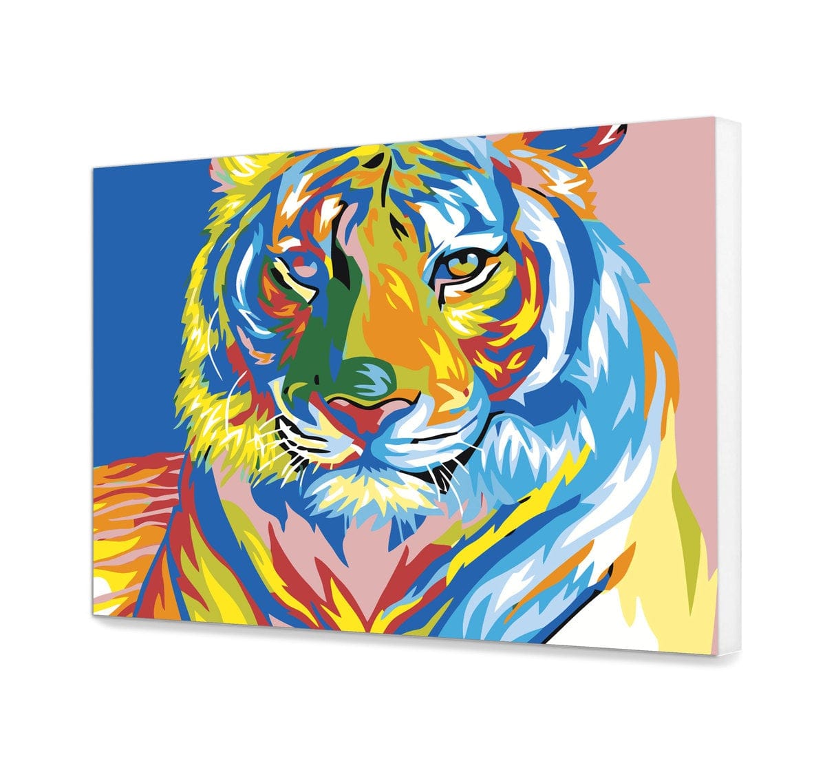 Tigre colorido (RD0086)
