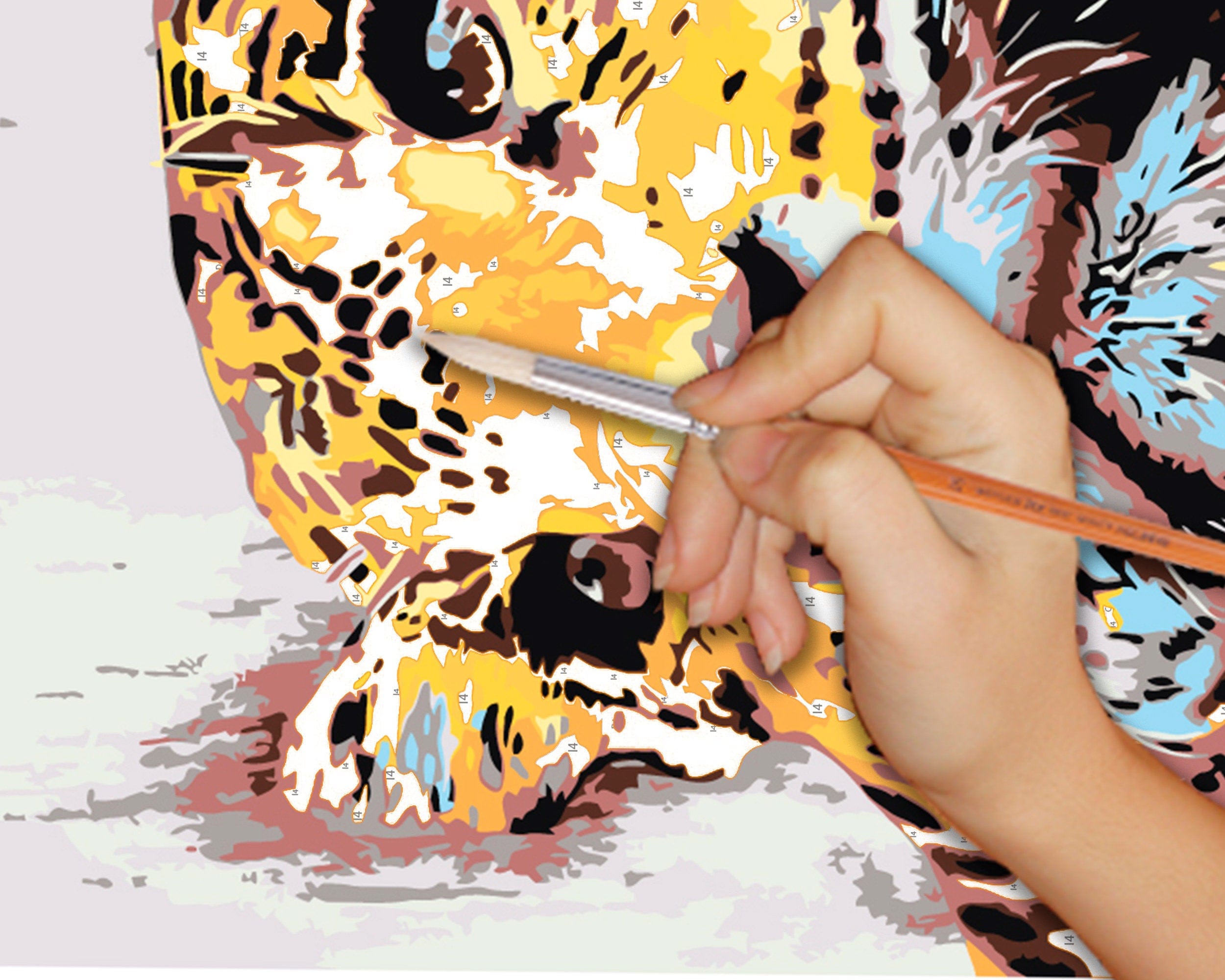 Tiger (PN0031)