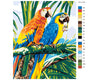 Loros tropicales (HP0134)