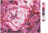 Peonies (AD0131)