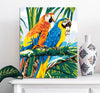 Loros tropicales (HP0134)